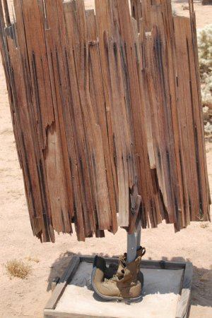 Noah Purifoy's art.