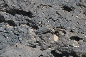 Lava closeup.