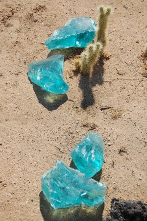 Green glass with cholla.