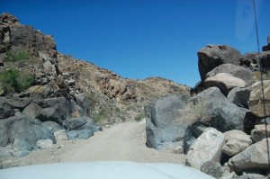 Newt kept telling me how the sand had filled in and how nice the road was this day. Uh, ok, sure.