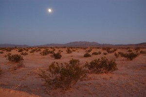 The moon doesn't give a shit about any of it.