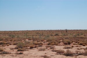 Back down into the real desert of Arizona, once again.