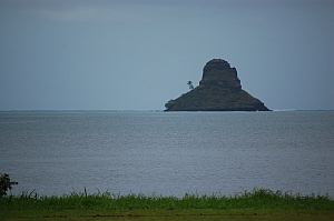 Chinaman's Hat