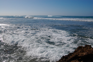 Ocean full of nice waves. All unridden.