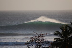 Big and Thick at Tres Palmas.