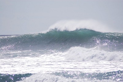 Nice, eh? Too bad nobody could paddle out through it and catch any of these.