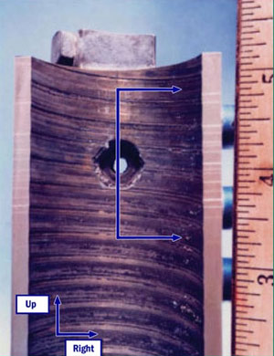 "Photo of Acme nut, in cross-section, showing worn threads"